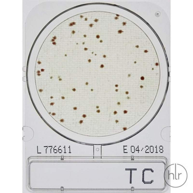 Cреда микробиологическая Compact Dry TC Total count 40 шт/уп
